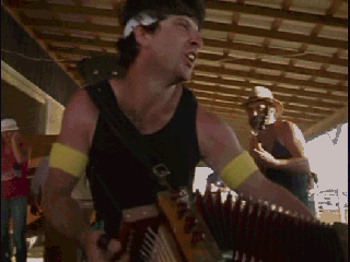 photo rockthataccordion_zps84715185.gif