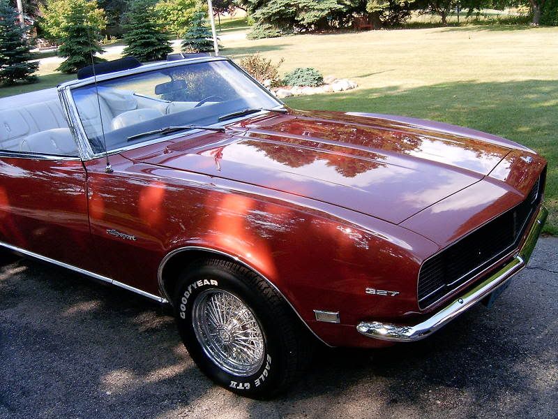 Camaro9.jpg