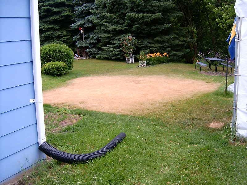 DeadGrass.jpg