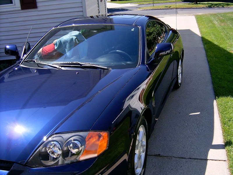 Tiburon11.jpg