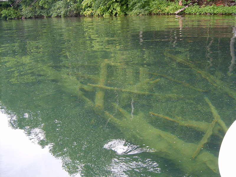 WoodPayaLake.jpg
