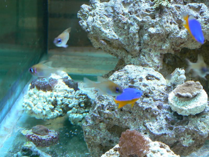 Fishtank005-1.jpg