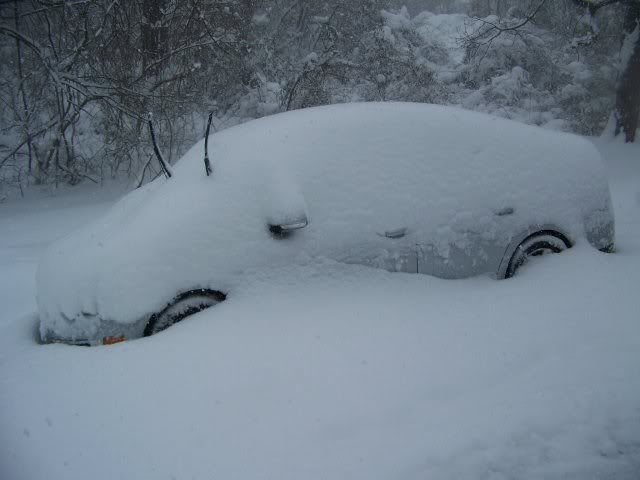 buried_car.jpg