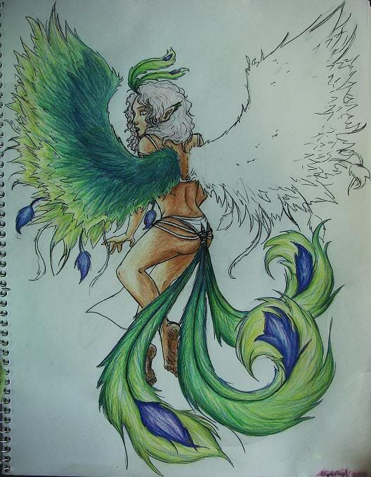 Chinese Phoenix WIP II and Completed Yeah sorry it's been so long