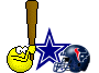 Bash Texans