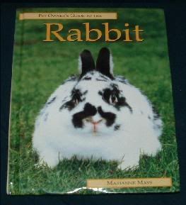 rabbitbookgreen.jpg