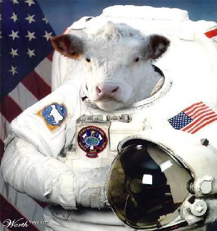 Space cow leader: I hate banana pie eating guys and fat people whit glasses!