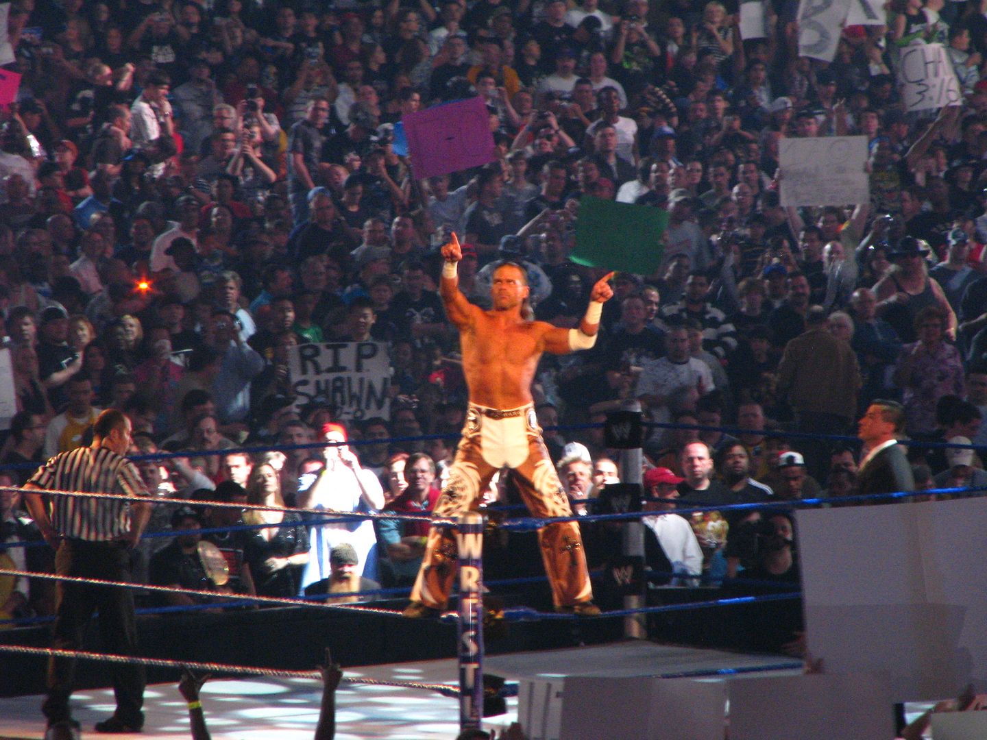 wrestlemania25290.jpg