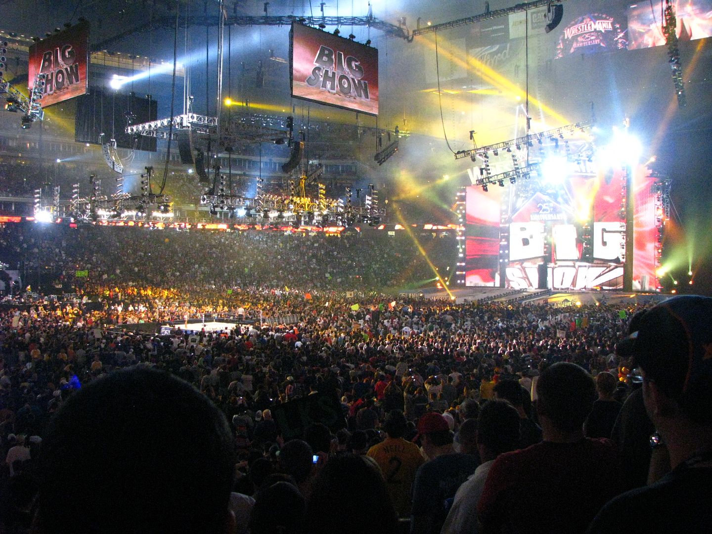 wrestlemania25320.jpg