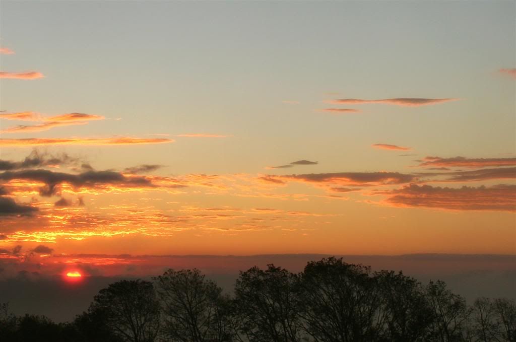 IMAGE: http://img.photobucket.com/albums/v629/alcorjr2/IMG_0194-1Large.jpg