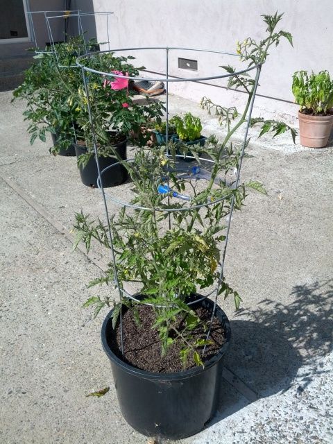  photo IMG_20130523_093105_zpsc702080b.jpg