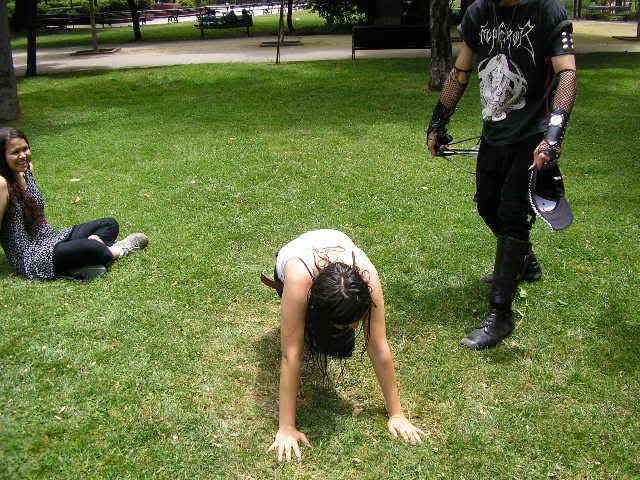 Photo Sharing and Video Hosting at Photobucket