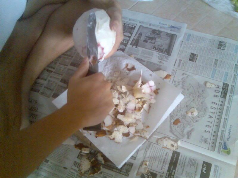 Photo Sharing and Video Hosting at Photobucket