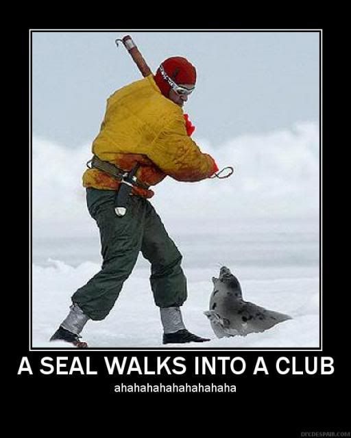 seal clubbing. STOP CANADA#39;S CRUEL SEAL HUNT