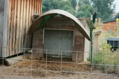 Tarp Shelters? - Page 2 - Miniature Horse Forum - Lil Beginnings 