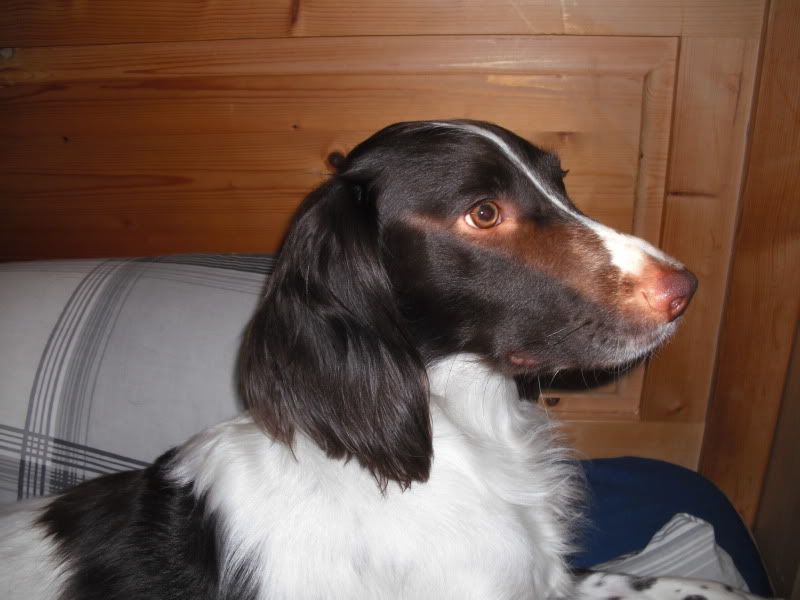 DSCF1016.jpg