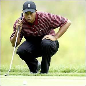 Tiger Wood Wallpapers
