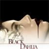 1dahlia12.jpg