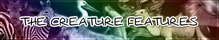 The Creature Features