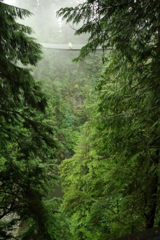 Capilano Suspension Bridge