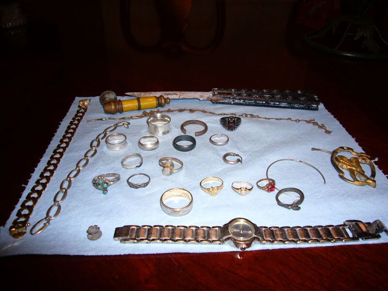 P1000004.jpg