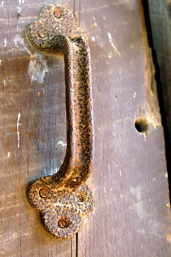 [Image: 9142c6ae.jpg]