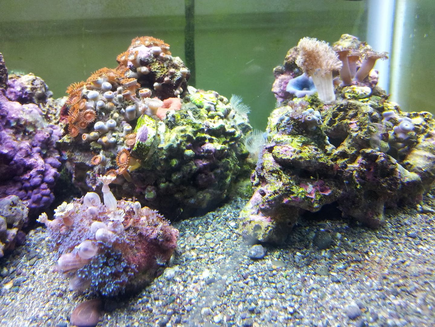 20111021_065458.jpg