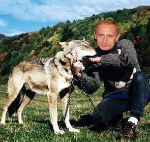Putin and the Wolf