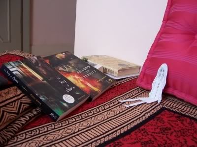 Momo_admires_my_books.jpg