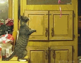 th_cat.gif