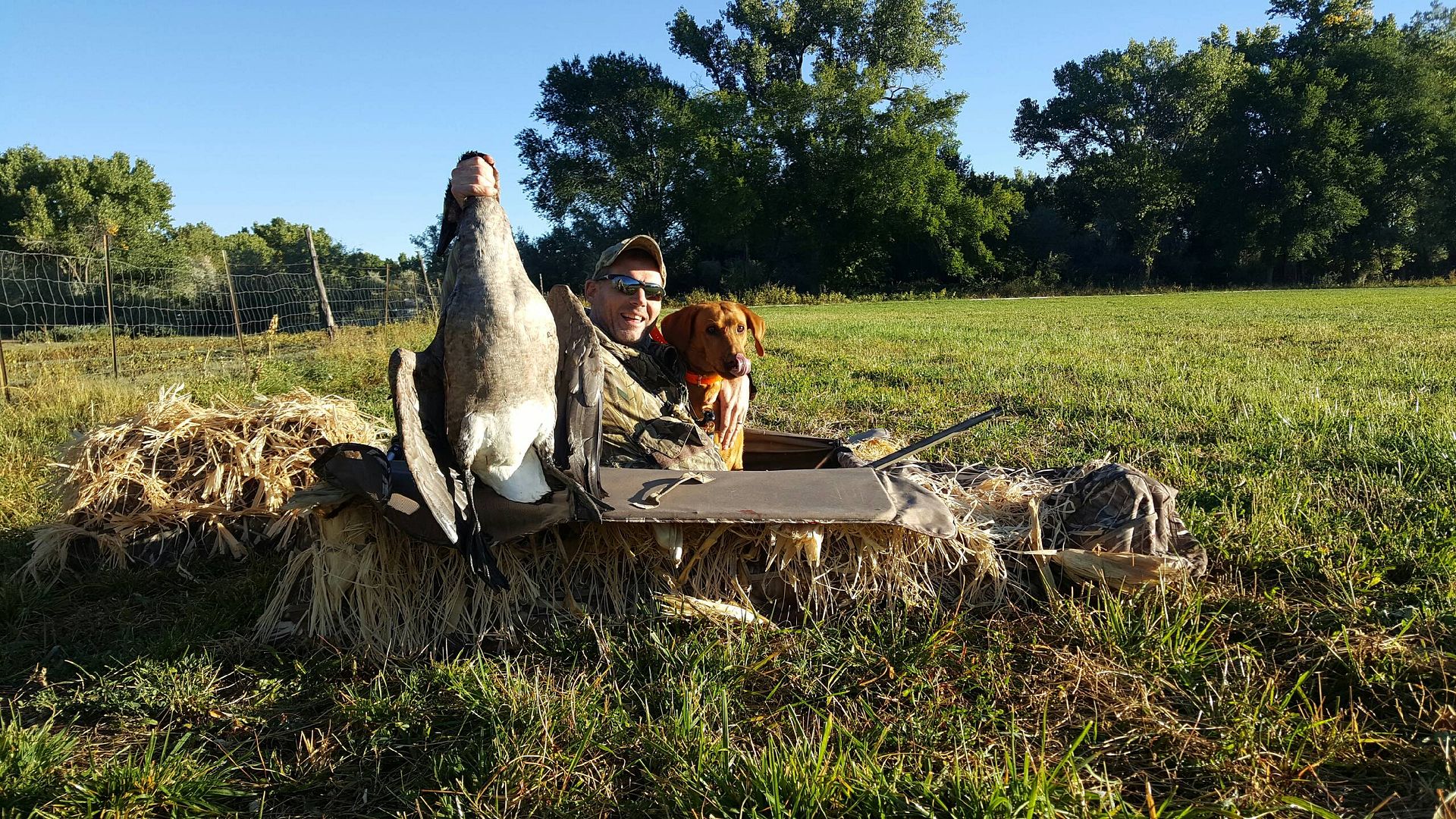 Early season is going great Duck Hunting Forum