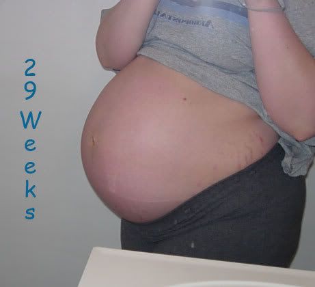 29 Weeks