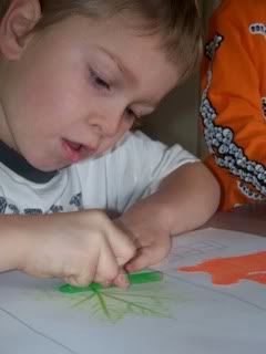 leaf rubbing with a crayon