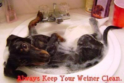 weinerCLEAN.jpg keep your weiner clean image by jaynedinsane