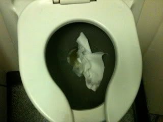 Choked Toilet Bowl