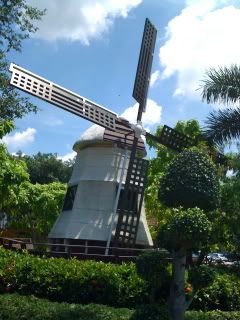 Windmill Portrait