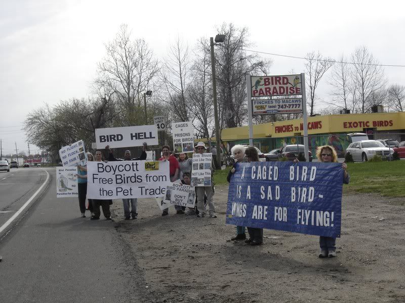 Our first demonstration against Bird Paradise. Won't you join us to stand up for the birds? First time demonstrators are welcome!