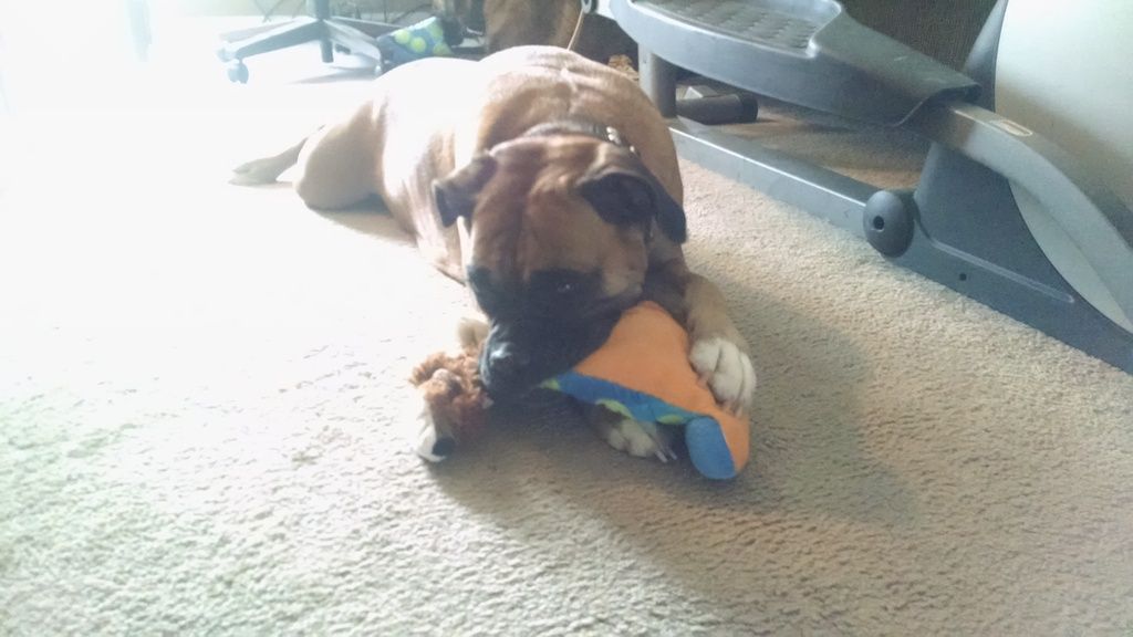 Hoarding her precious