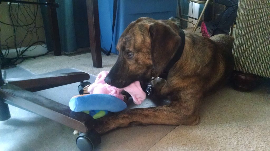 He's a bit of a cannibal.