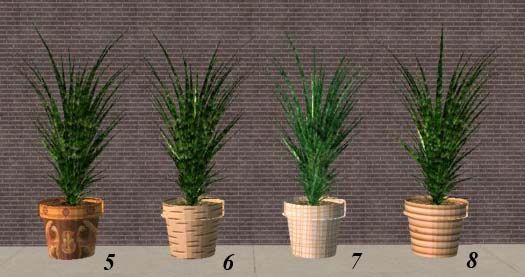 plant_rcl_5-8.jpg