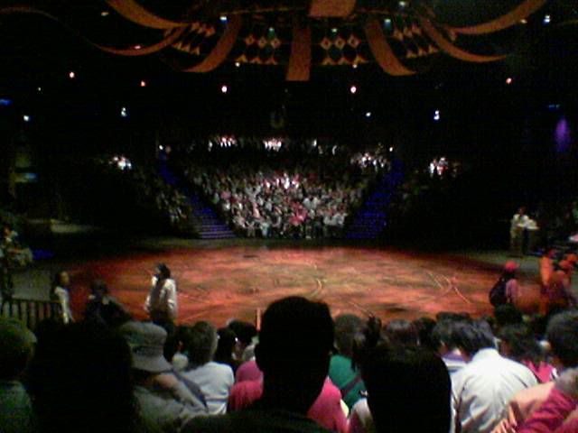 Lion King Show Stage