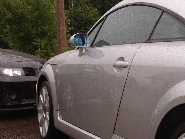 IMGP1227.jpg