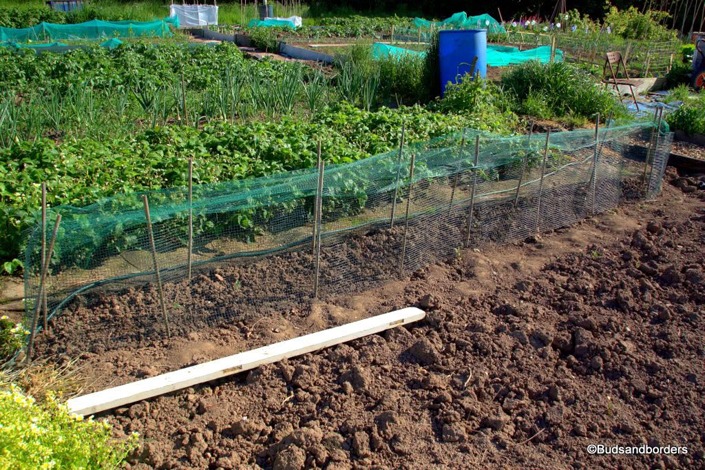 netting
