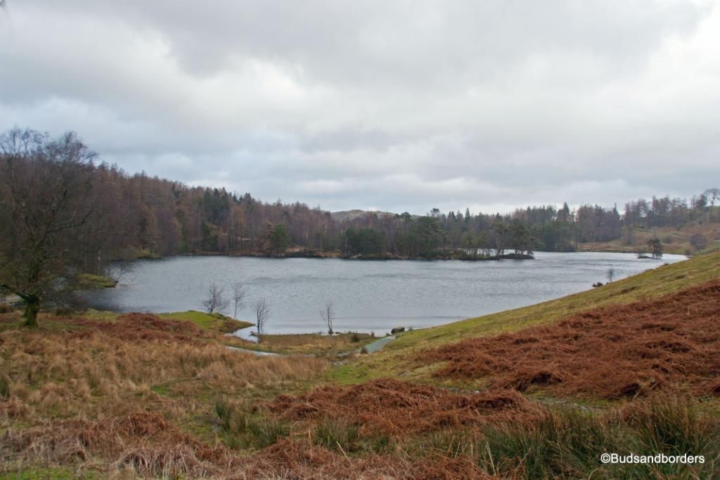 tarn