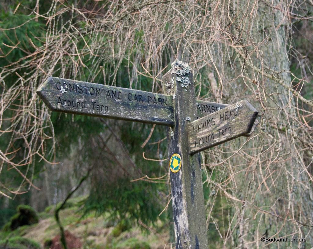 sign