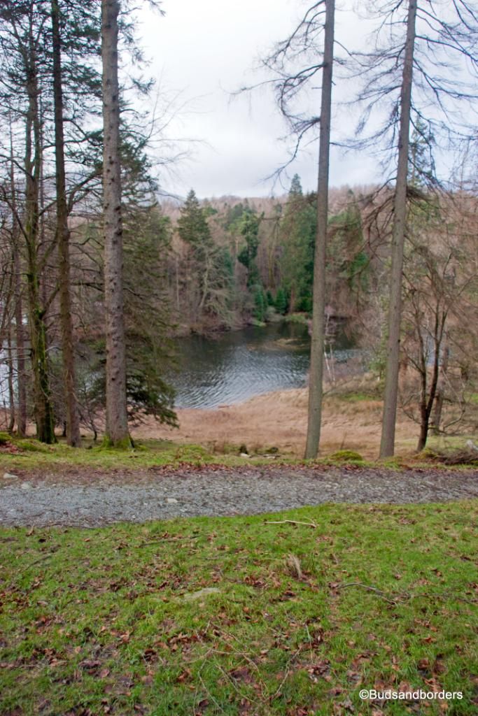 tarn