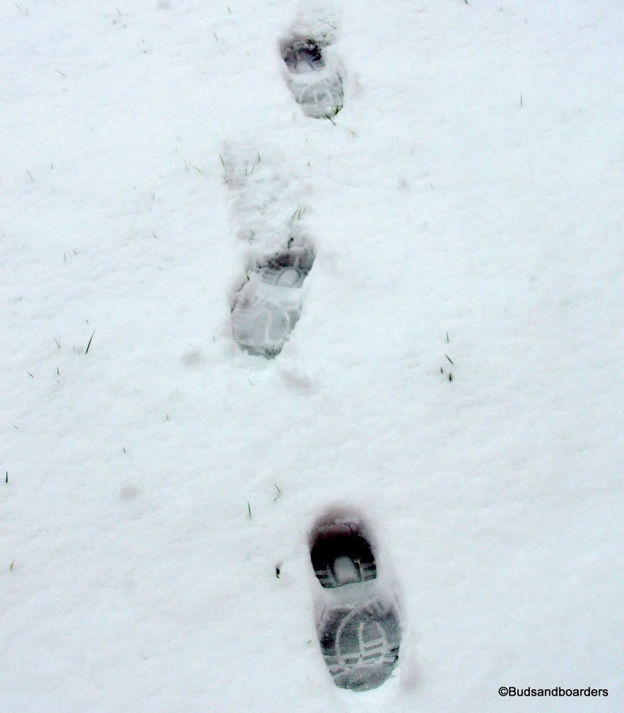 snow prints