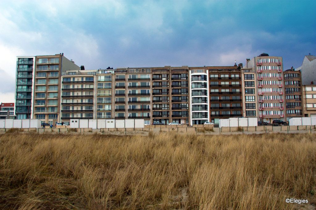 Belgian coastal flats