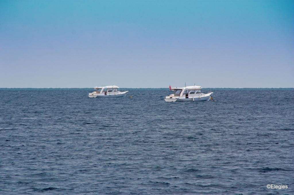 Formation Boats