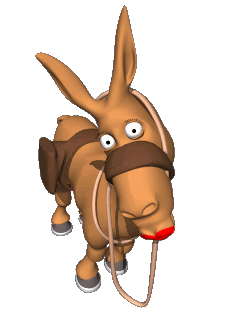 Donkey.gif